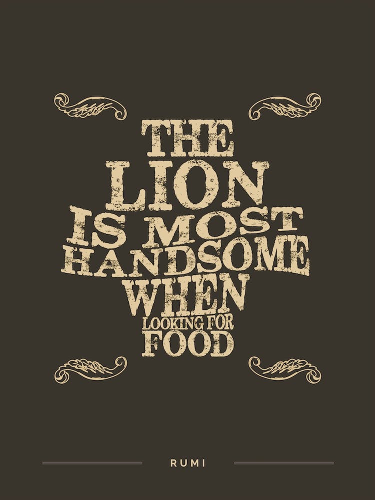 The Lion Is Most Handsome When Looking For Food