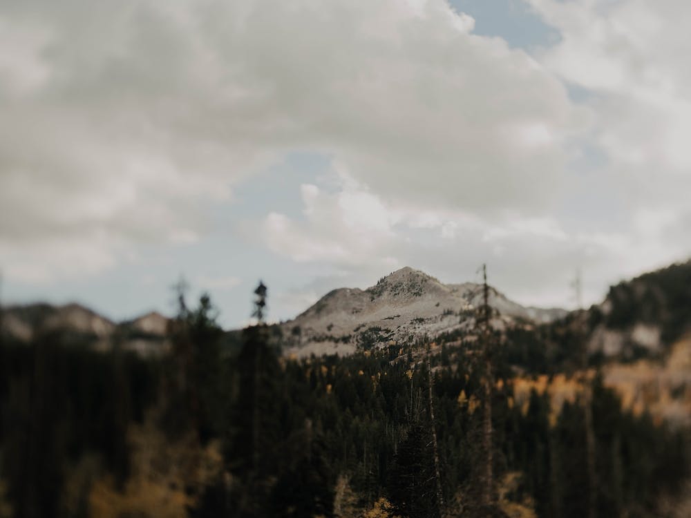 The Mountain