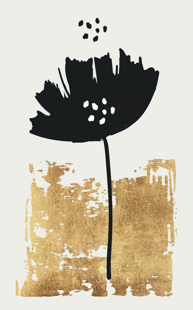 Black Poppy