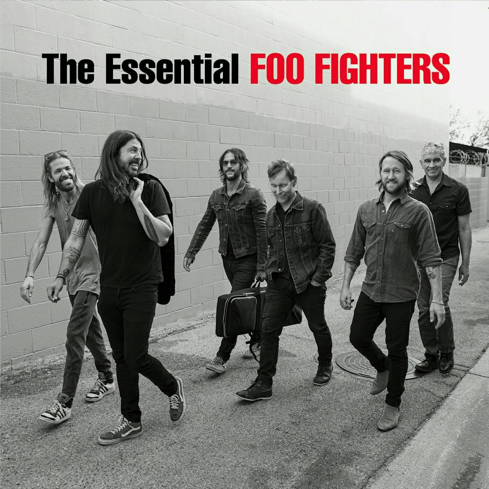 Foo Fighter Album (17)