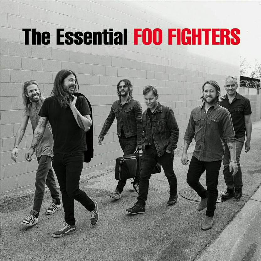Foo Fighter Album (17)
