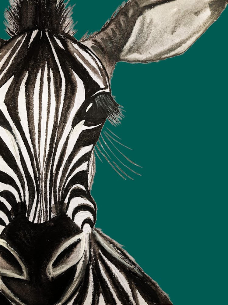 Zebra teal watercolour illustration wildlife