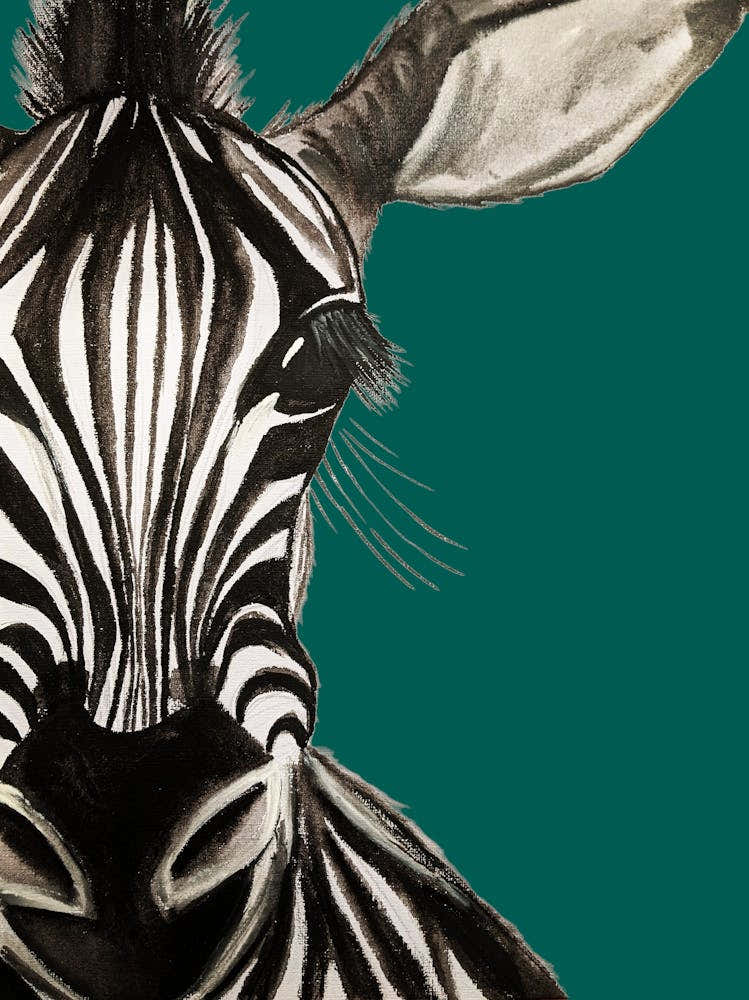Zebra teal watercolour illustration wildlife