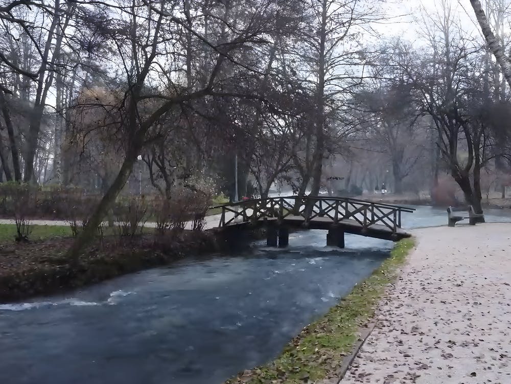 Leben zwischen Wasser und Luft