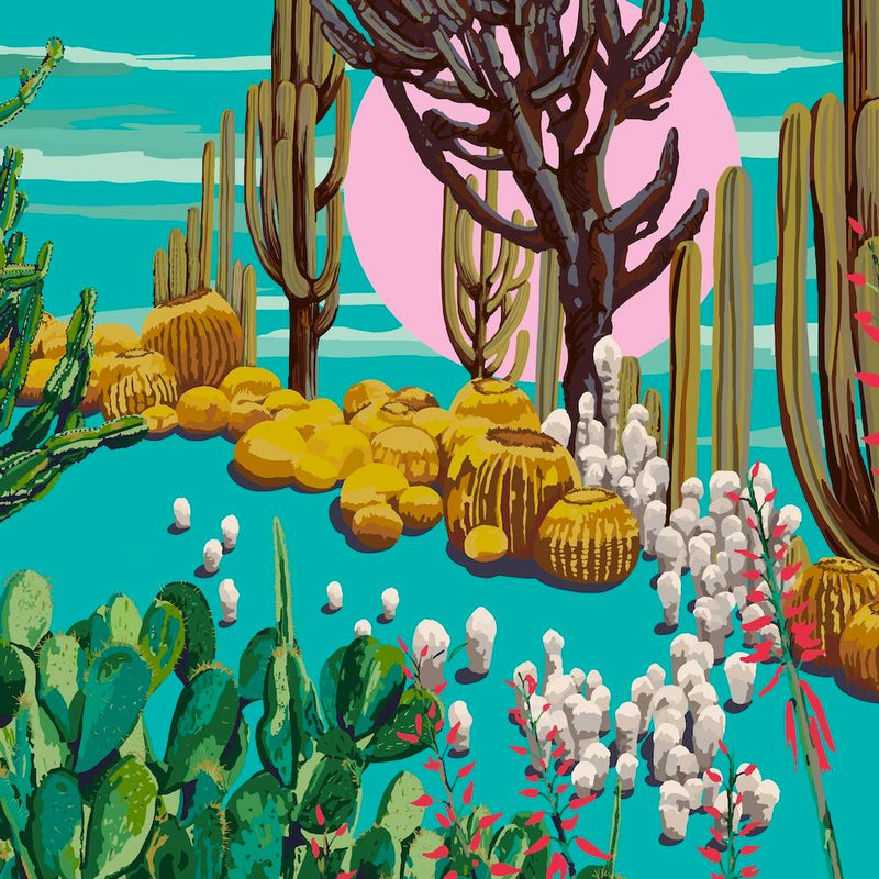 Cactus Garden Series Square