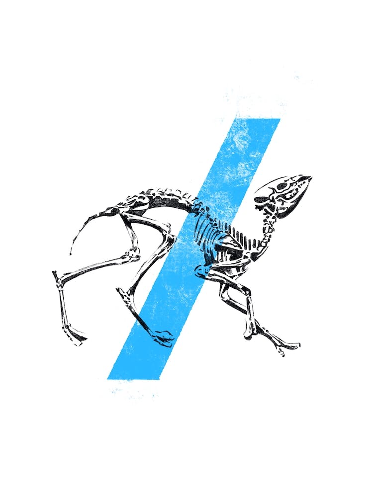 Blue Stripe Fossil