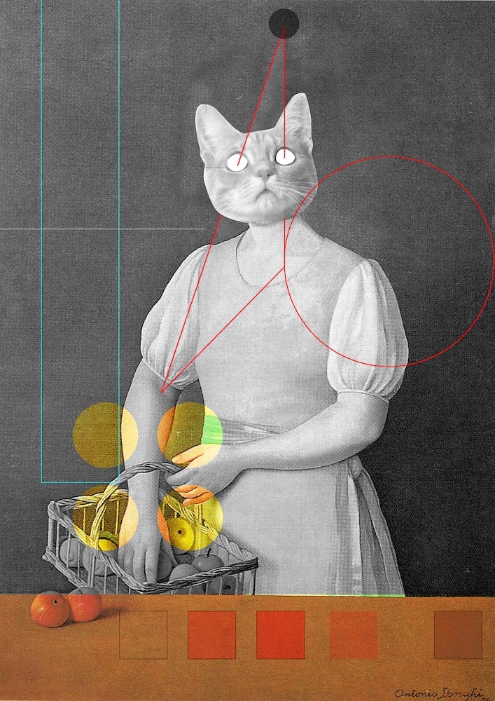 Catomania, Margheritta