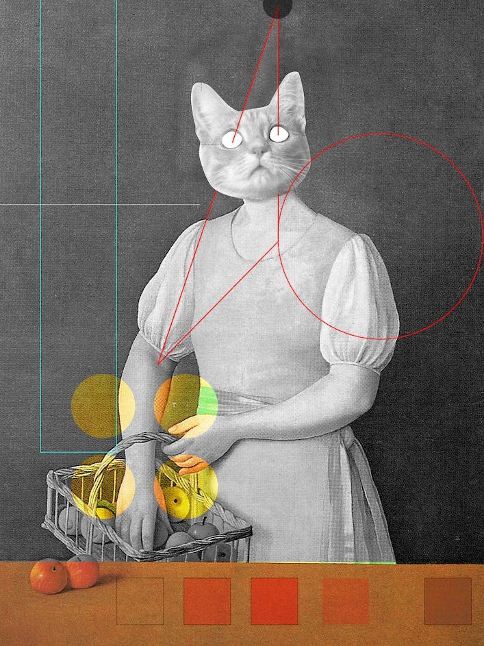 Catomania, Margheritta