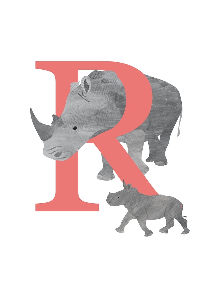 R For Rhino
