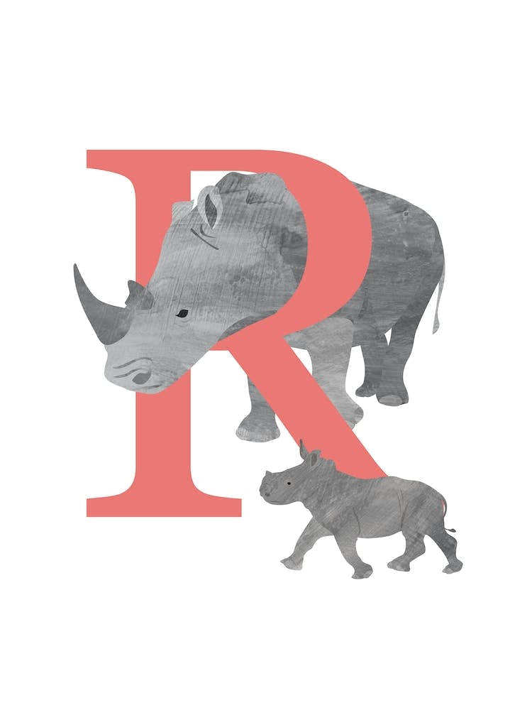 R For Rhino