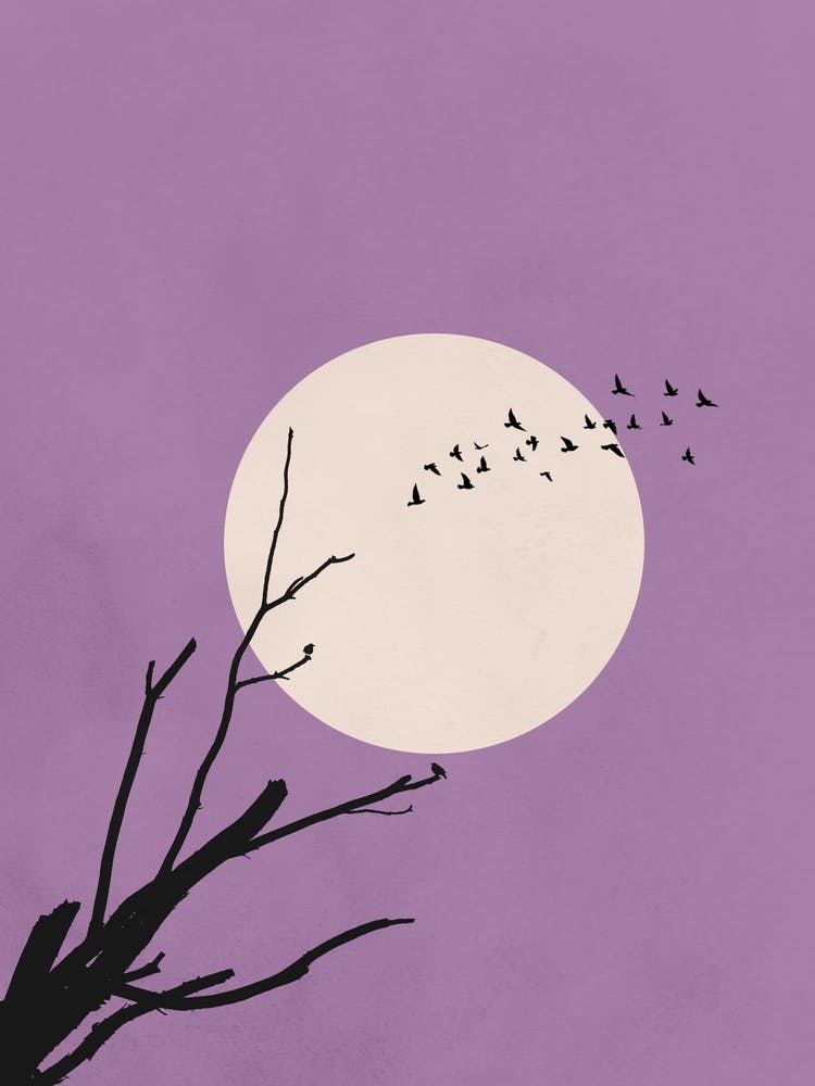 Moon in the Sky 1