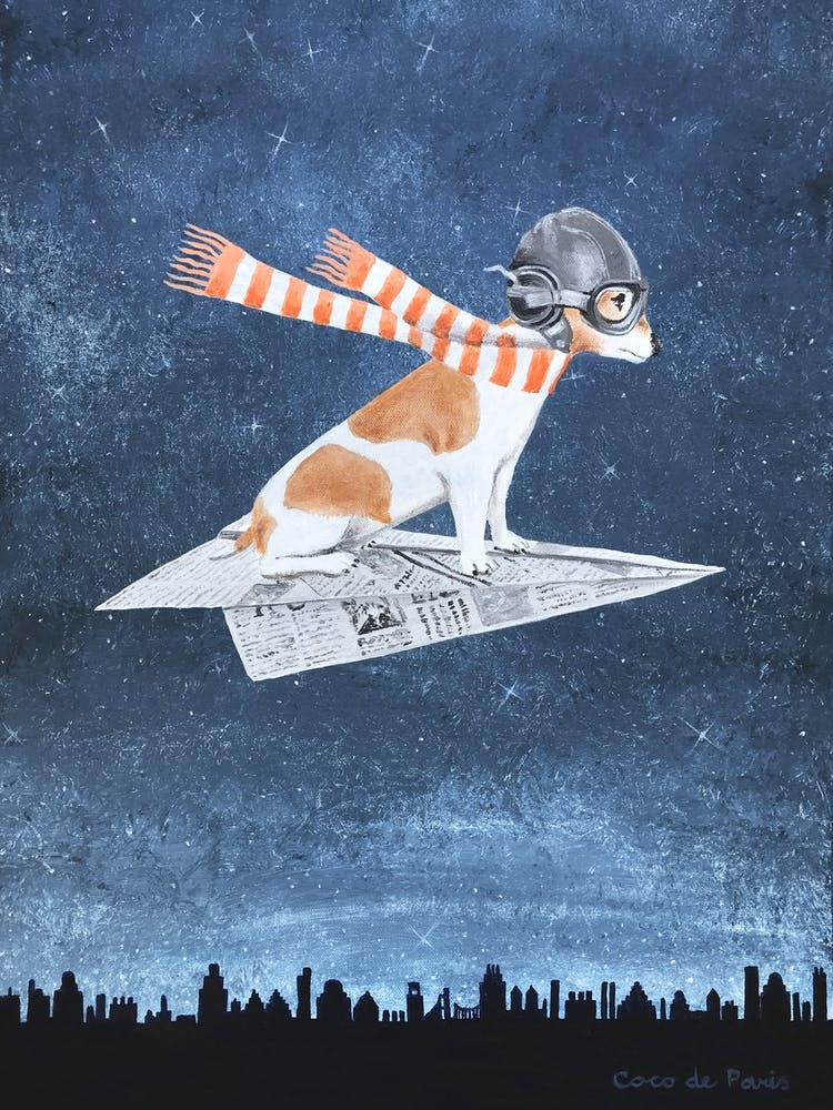 Jack Russell sur Avion en Papier