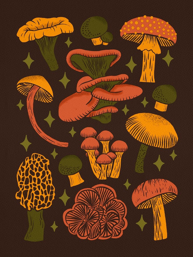 Texas Mushrooms   Dark Multicolor