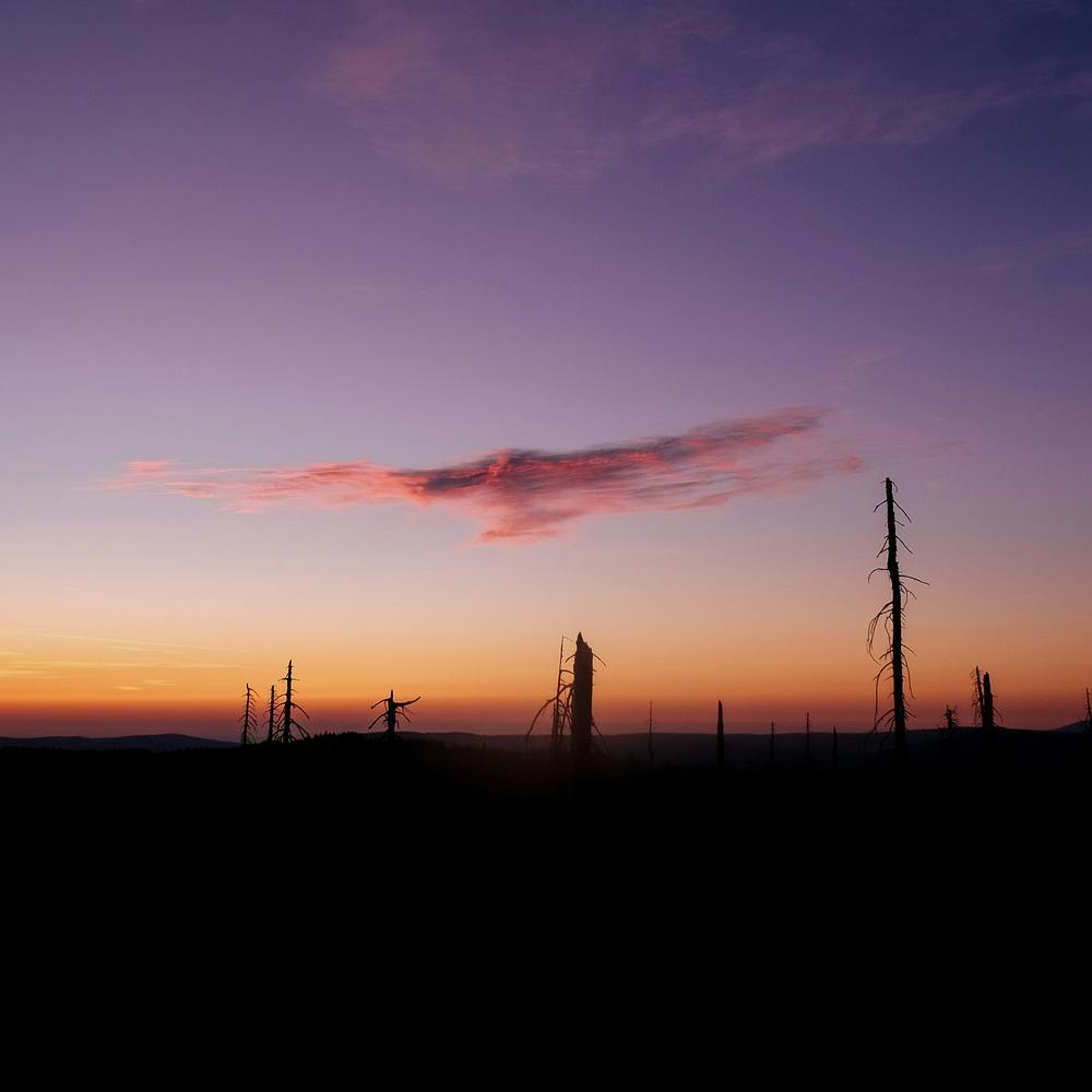 Sunrise and clouds 1:1