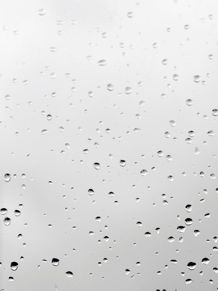 Treasures From The Sky