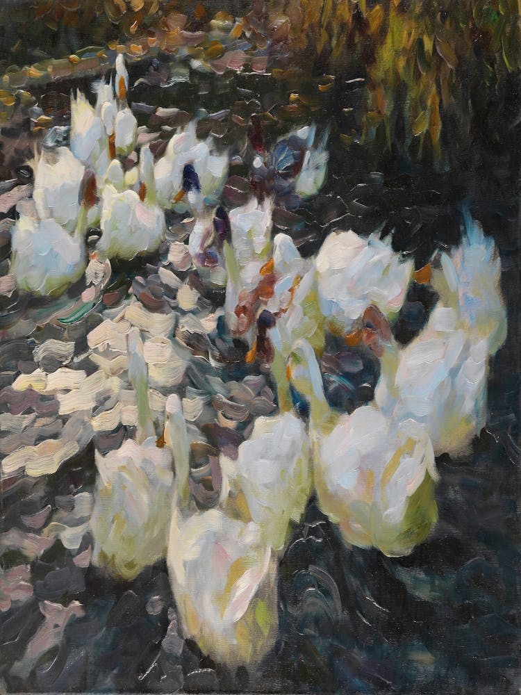 Flock Of Geese