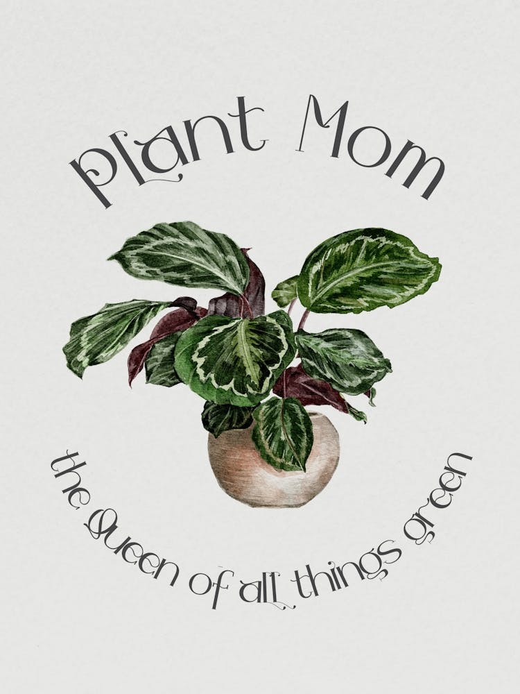 Plant Mom