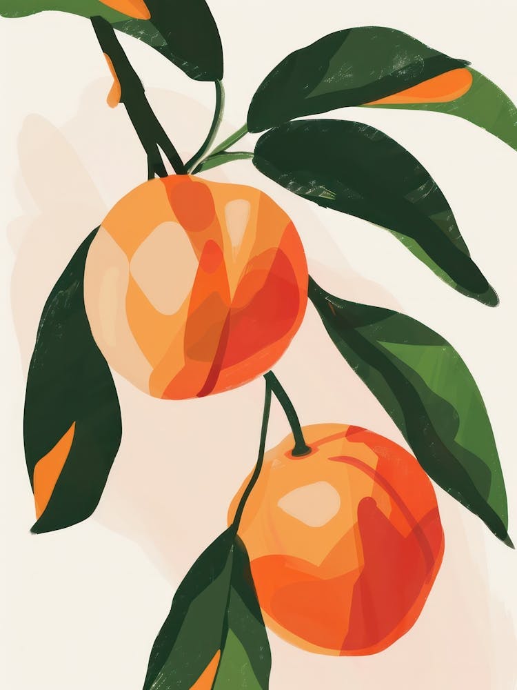 Nectarines Close Up Illustration 2
