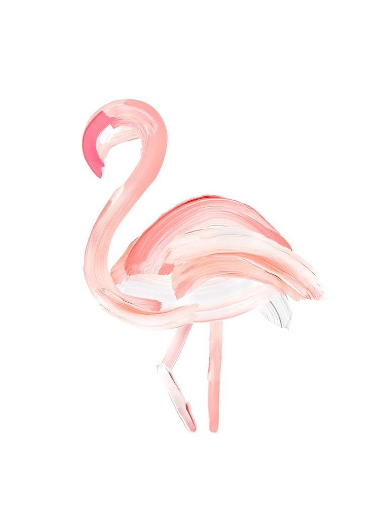 Painted Flamingo