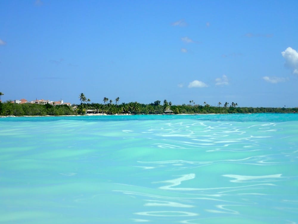 Blue Water In The Ocean