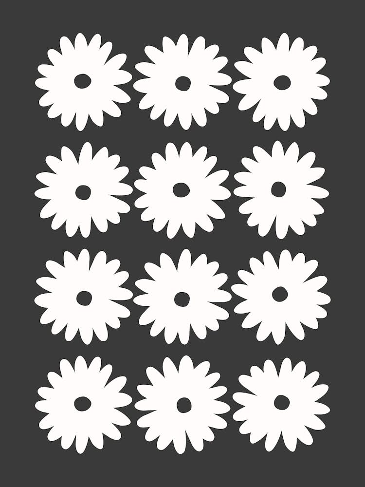 Daisy Black & White 1