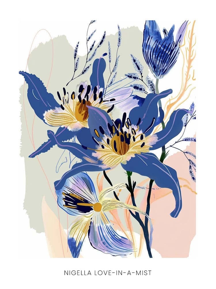 Colourful Flower Illustration Poster Nigella Love In A Mist 4