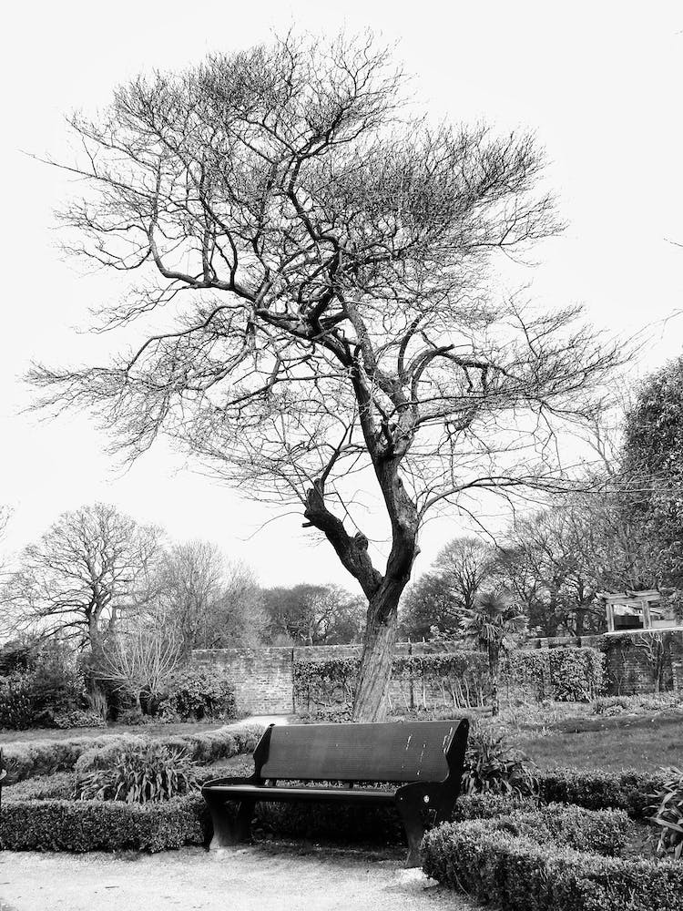 7b9b554e 7072 472e 9fd1 5984f9429354