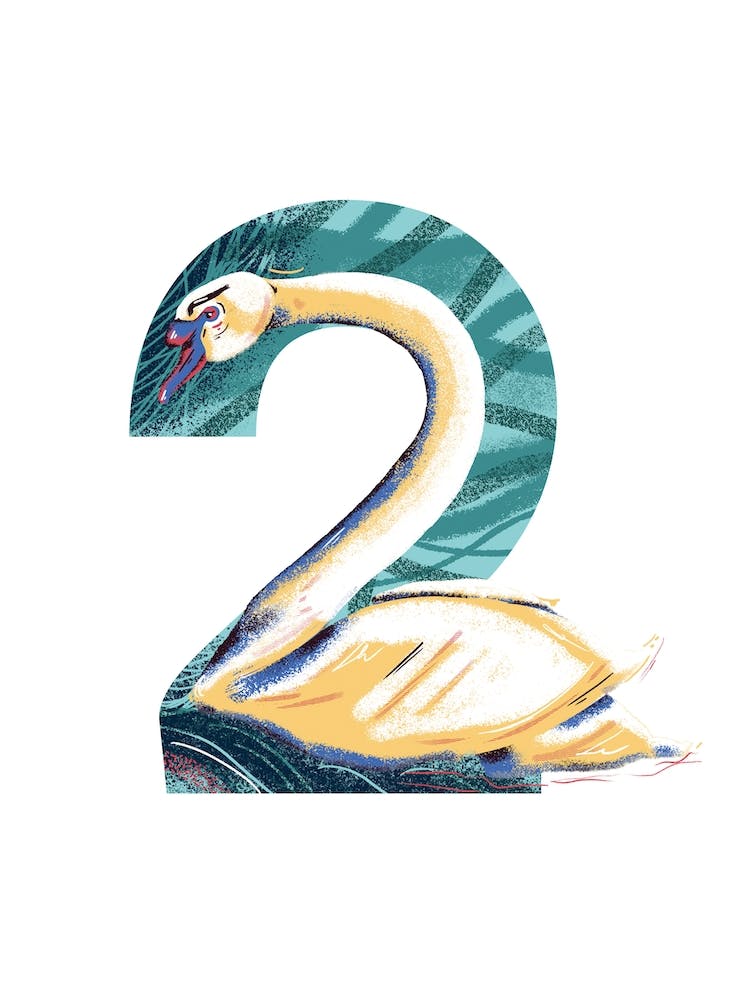 2  Swan