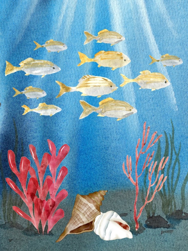 Océan et Vie Aquatique Aquarelle