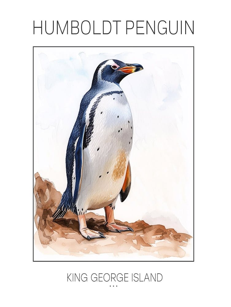 Humboldt Penguin King George Island Watercolour Painting 2 Poster
