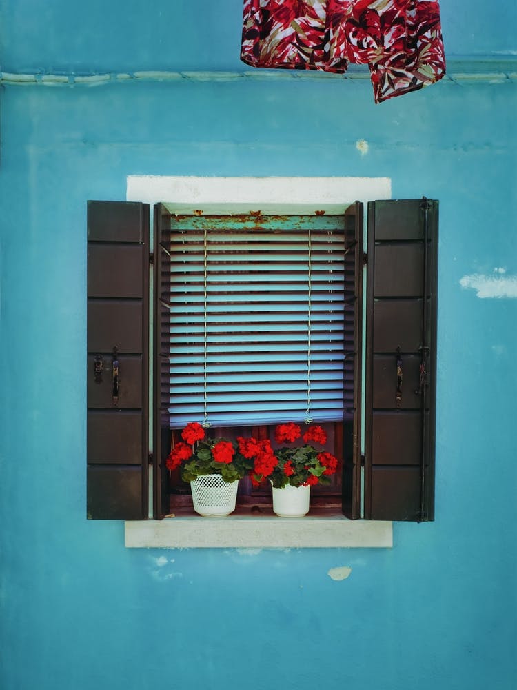 Italian Window With Red Flowers