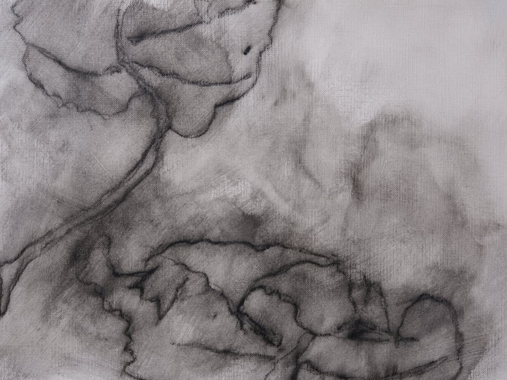 Dwindle - CampbellReedStudio (2024) 005