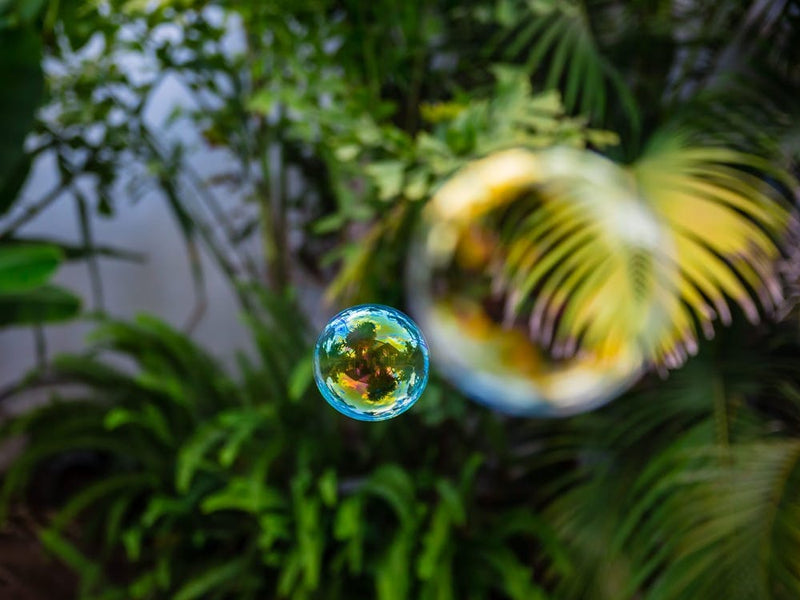 Soap Bubbles Fly In The Garden