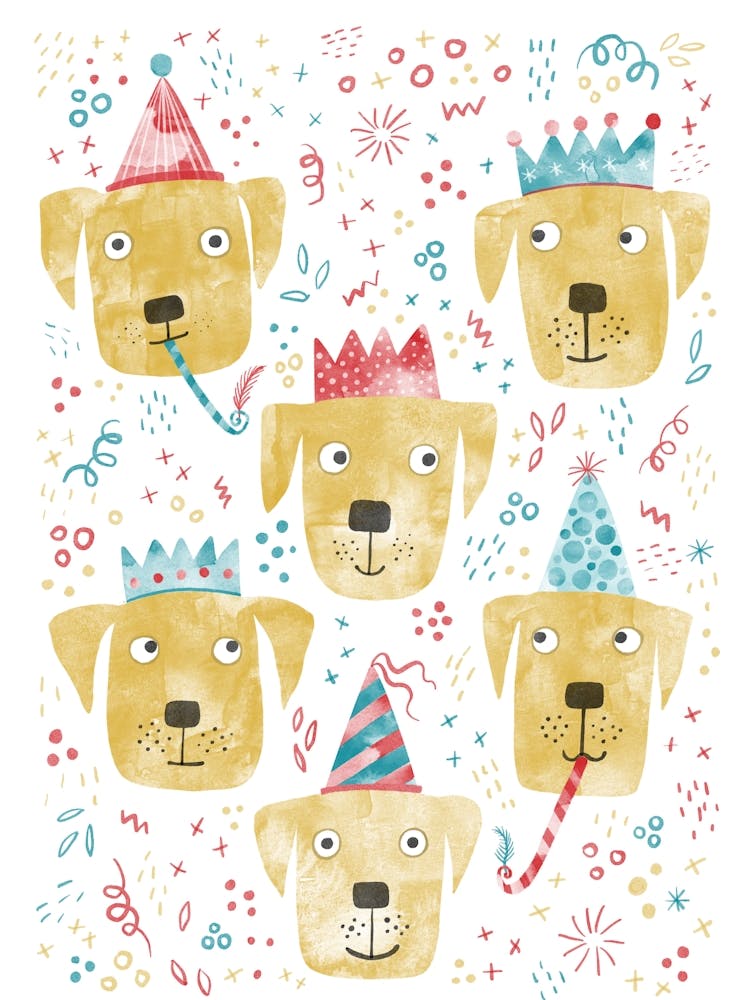 Birthday Labrador Retriever Dogs