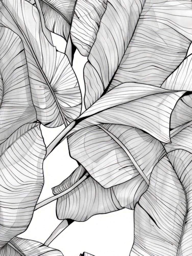 Banana Leaves 17