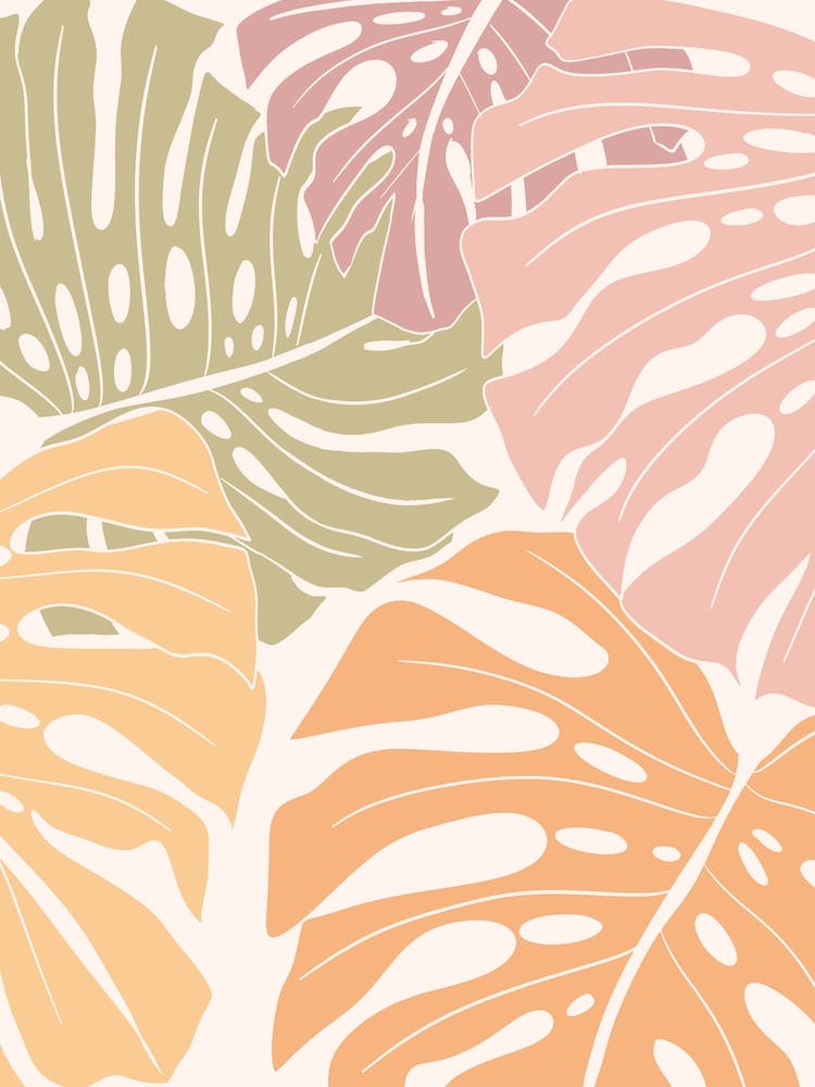 Neutral getönte Monstera Blätter