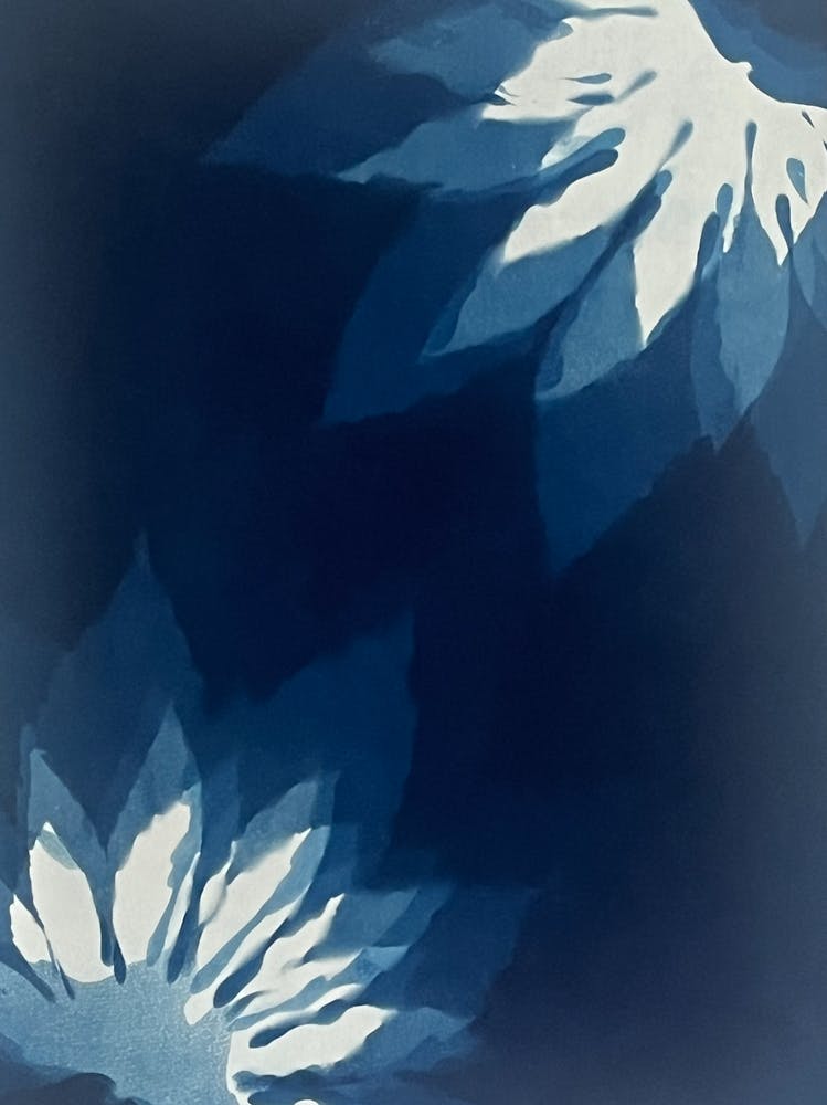 Blue abstract cyanotype print 1
