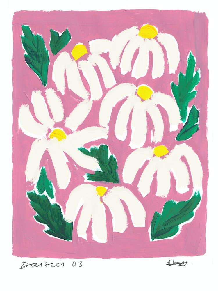 Pink Daisies