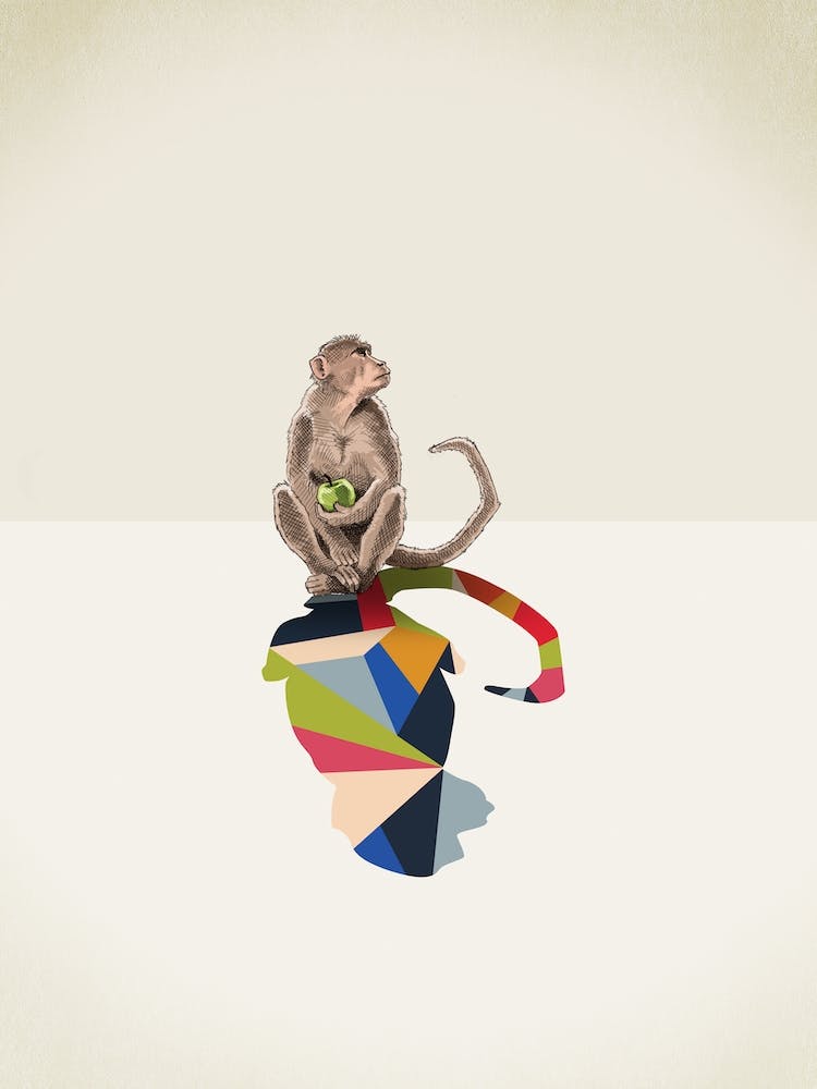 Walking Shadows   Monkey