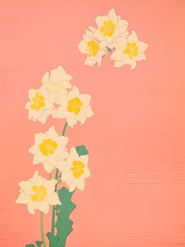 Narzissenblume Große Kräftige Illustration 2