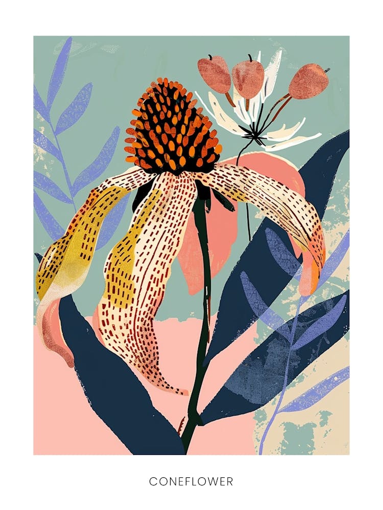 Colourful Flower Illustration Poster Coneflower 3