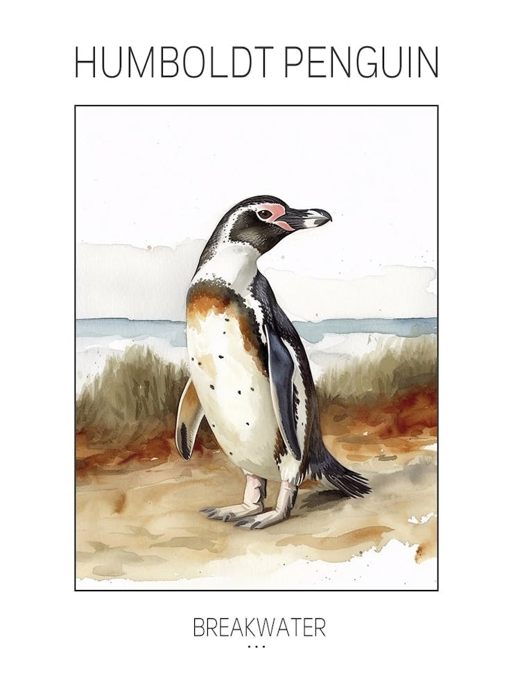 Humboldt Penguin Breakwater Watercolour Painting 2 Poster