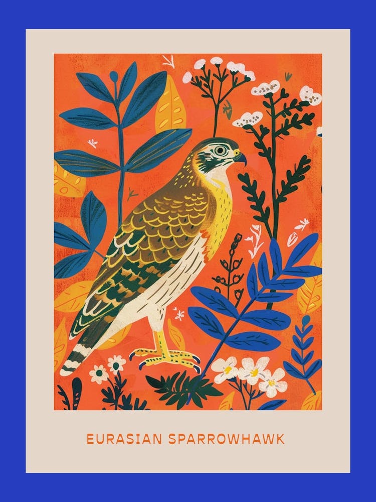 Spring Birds Poster Eurasian Sparrowhawk 1