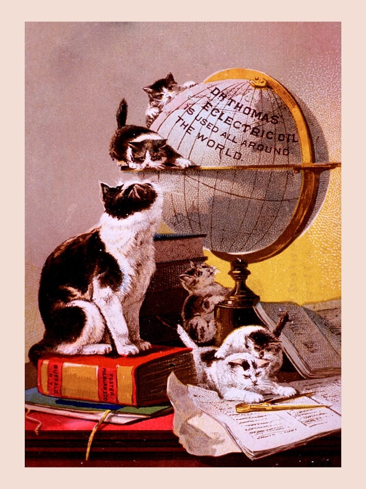 Dr Thomas' Eclectric Oil Is Used All Around The World Advertisement