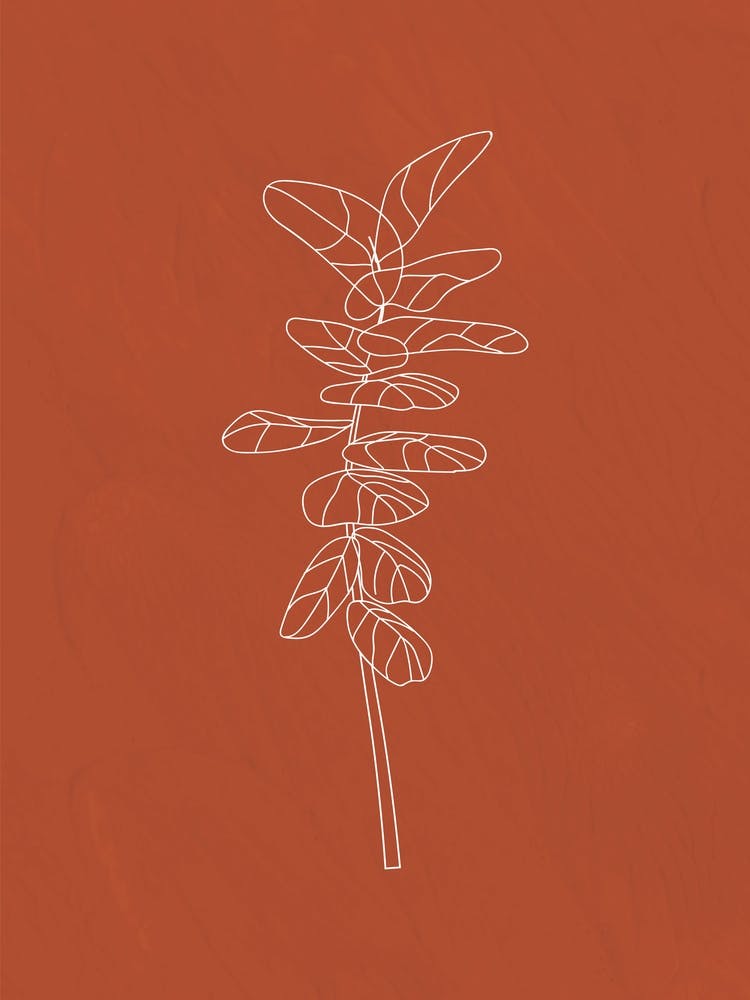 Line Art Leaf, Botanical Terracotta