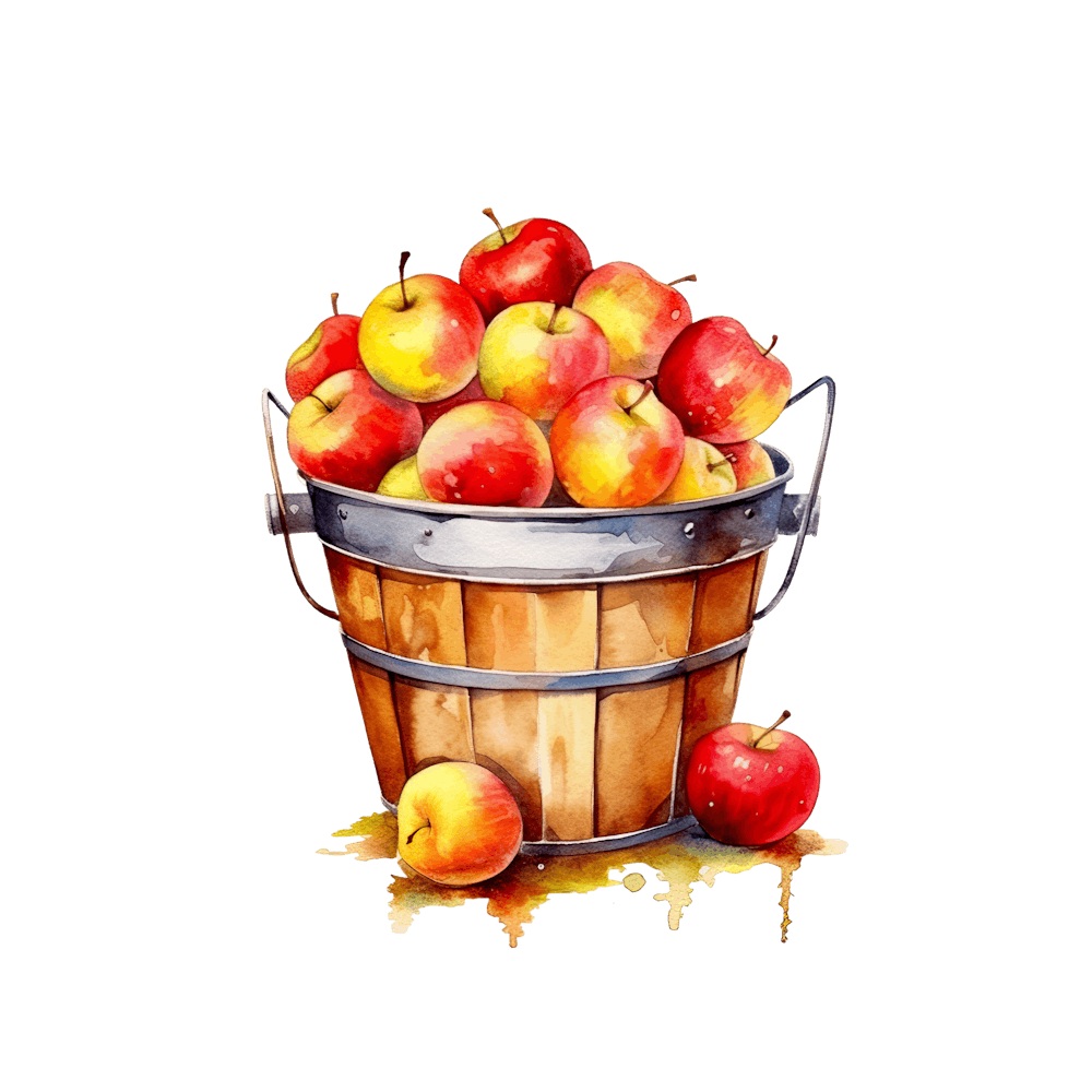 Apple Bucket 1