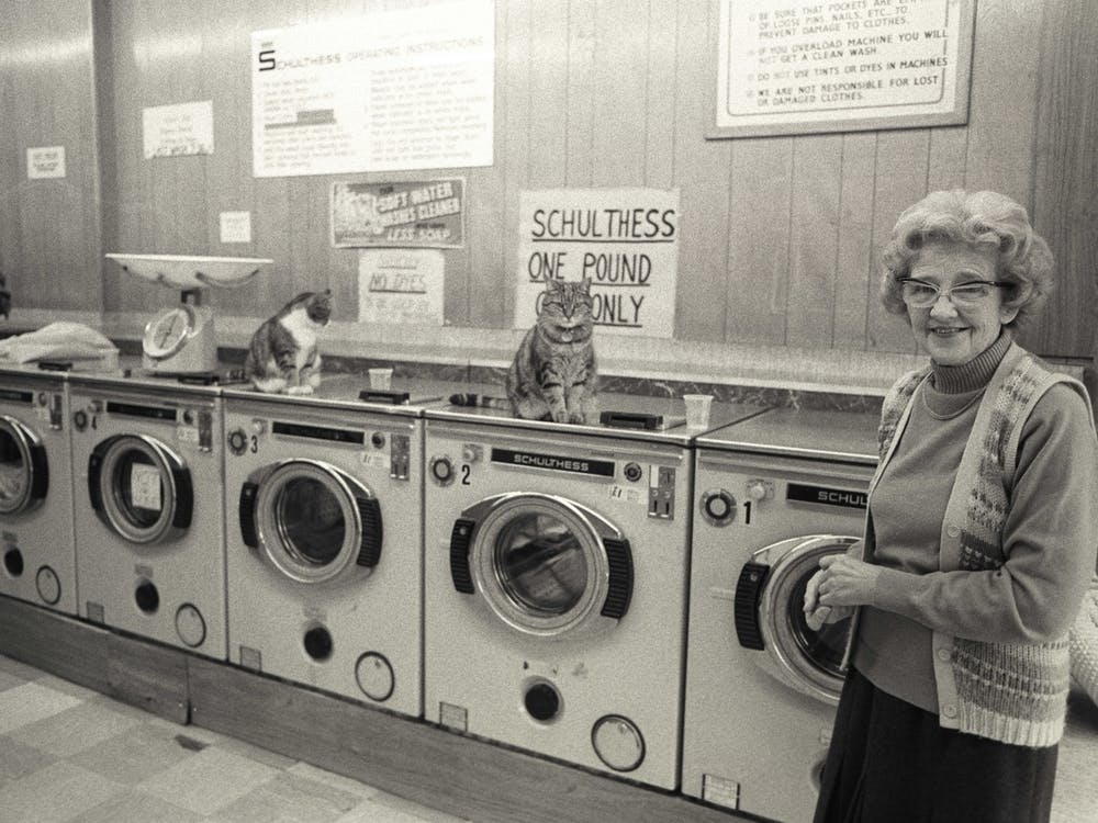 Lady And Cats In A Launderette