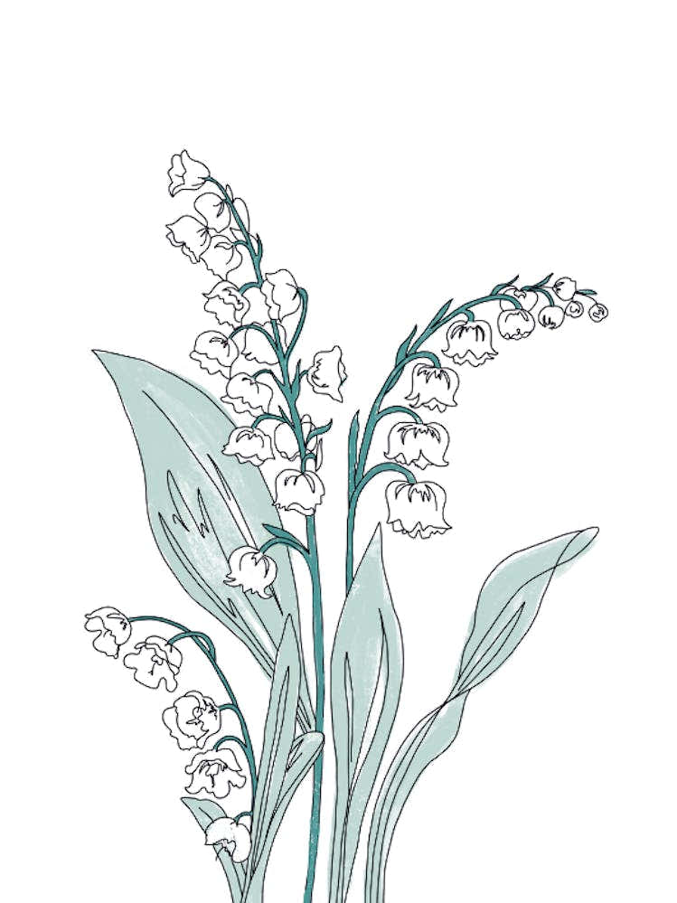 lily of the valley black and white Lily Of The Valley Black And White Flower Silhouette Art Print by Artsy Bessy – Fy!