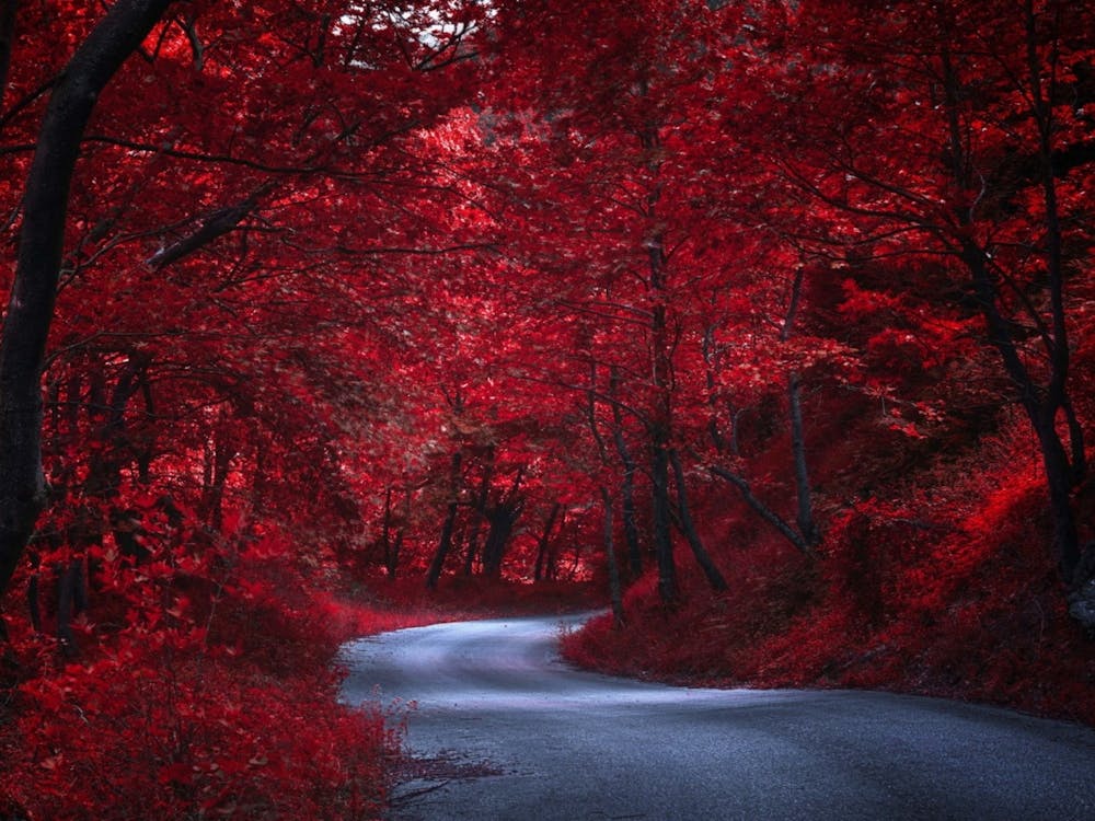 Red Road