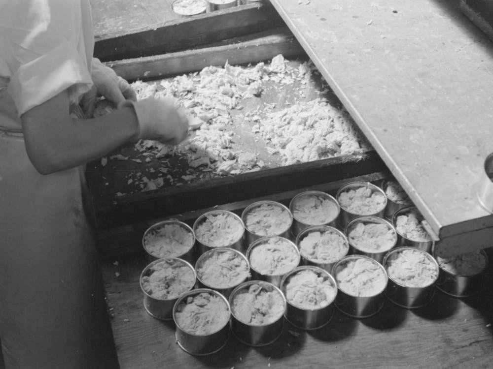 Untitled Photo, Possibly Related To Packing Tuna Into Cans, Columbia River Packing Association, Astoria, Oregon 1